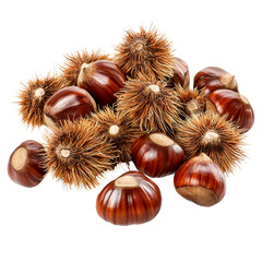 Fresh chestnuts with spiky husks create visually appealing arrangement, showcasing their rich brown color and unique textures