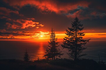 Fiery sunset over the ocean silhouettes trees on the horizon