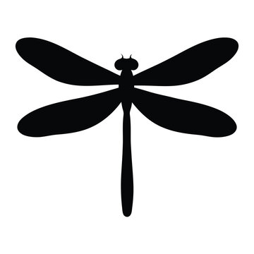 dragonfly vector silhouette icon - , ideal for wildlife, safari, and animal-themed illustrations.