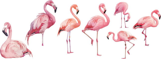 flamingo watercolor clipart © dian's