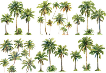 palm tree watercolor clipart