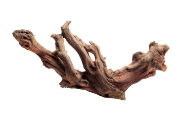 Fototapeta premium Natural driftwood sculpture in studio