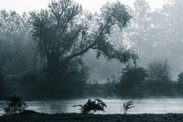 mroźny poranek na polu i łące z mgłą i promieniami słońca © Henryk Niestrój