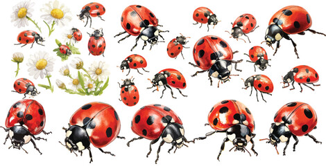 lady bug watercolor clipart © dian's