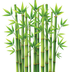 Naklejka premium Bamboo Cluster: A group of green bamboo stalks with leaves, minimalist style, transparent PNG
