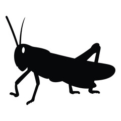 grasshopper vector silhouette icon - , ideal for wildlife, safari, and animal-themed illustrations.