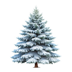 Fototapeta premium Snow-Covered Tree: A pine tree covered in snow, winter style, transparent PNG with icy texture