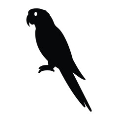 parrot vector silhouette icon - , ideal for wildlife, safari, and animal-themed illustrations.