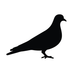 pigeon vector silhouette icon - , ideal for wildlife, safari, and animal-themed illustrations.