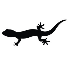 salamander vector silhouette icon - , ideal for wildlife, safari, and animal-themed illustrations.