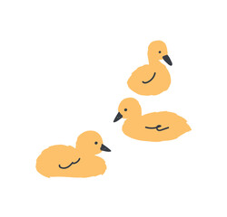 Cygnets, ducklings swimming. Cute fluffy baby birds floating. Yellow chicks, birdies. Tiny small little waterfowl kids. Flat graphic vector illustration isolated on white background