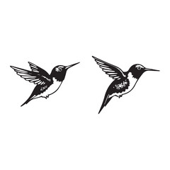 Hummingbird icon isolated on white background