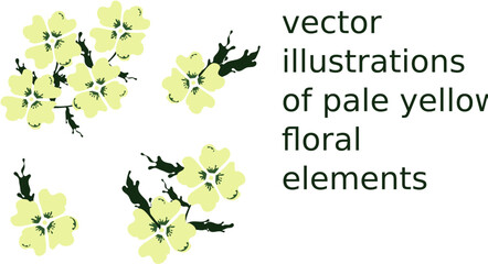 vector illustrations of pale yellow floral elements
