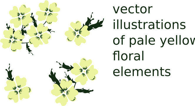 vector illustrations of pale yellow floral elements