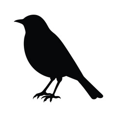 sparrow vector silhouette icon - , ideal for wildlife, safari, and animal-themed illustrations.
