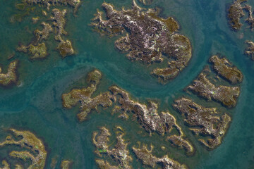 Natural park of Marismas de Santoña, Victoria y Joyel, Cantabria, Spain