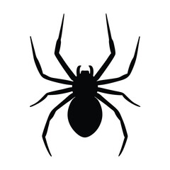 spider vector silhouette icon - , ideal for wildlife, safari, and animal-themed illustrations.