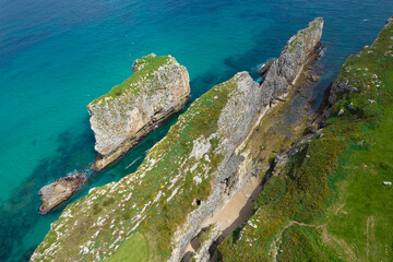 Seagull settlement, Llanes, Asturias, Spain