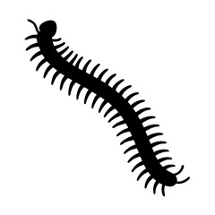 centipede vector silhouette icon - , ideal for wildlife, safari, and animal-themed illustrations.