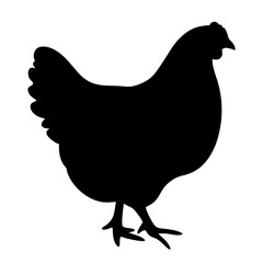 chicken hen vector silhouette icon - , ideal for wildlife, safari, and animal-themed illustrations.