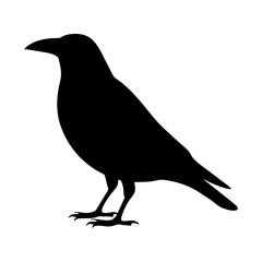 crow vector silhouette icon - , ideal for wildlife, safari, and animal-themed illustrations.