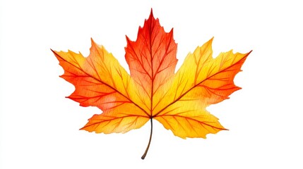 Autumn Maple Leaf Watercolor - Vibrant watercolor painting of a single maple leaf, symbolizing autumn, nature, change, beauty, and tranquility