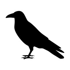 crow vector silhouette icon - , ideal for wildlife, safari, and animal-themed illustrations.