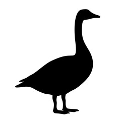 goose vector silhouette icon - , ideal for wildlife, safari, and animal-themed illustrations.