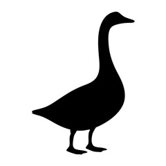 goose vector silhouette icon - , ideal for wildlife, safari, and animal-themed illustrations.
