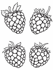 Raspberry tar line art drawing creative lines.eps