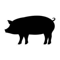 pig vector silhouette icon - , ideal for wildlife, safari, and animal-themed illustrations.