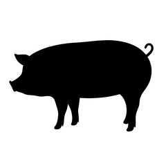 pig vector silhouette icon - , ideal for wildlife, safari, and animal-themed illustrations.