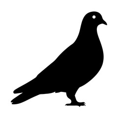 Obraz premium pigeon vector silhouette icon - , ideal for wildlife, safari, and animal-themed illustrations.