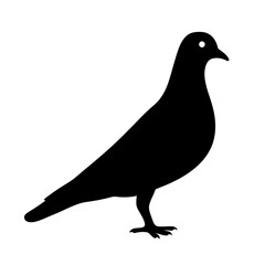pigeon vector silhouette icon - , ideal for wildlife, safari, and animal-themed illustrations.