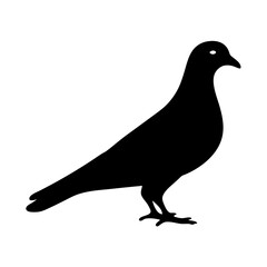 pigeon vector silhouette icon - , ideal for wildlife, safari, and animal-themed illustrations.