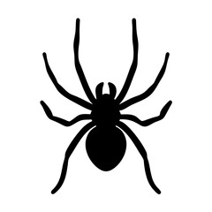 spider vector silhouette icon - , ideal for wildlife, safari, and animal-themed illustrations.