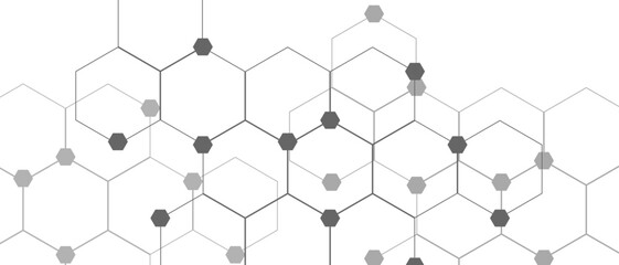 Abstract Vector internet cyber connection concept in white background. Geometric white and gray banner design with hexagons. Modern technology design. Vector illustration.