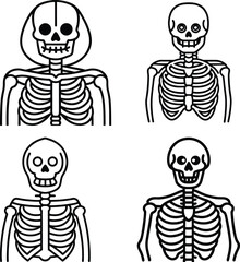 Cartoon Skeleton Set. Cute Skull and Ribcage Line Art Illustrations
