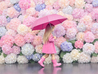雨の中ピンクが主体の沢山の紫陽花の花をバックに歩くピンクの傘の女の子
