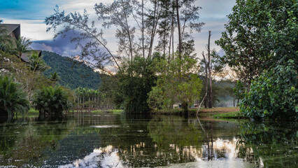 A calm pond in a tropical park.  Bushes, palm trees on the shore. The roofs of the hotel, the hill, the branches against the pinkish evening sky. Reflection on the water. Malaysia. Borneo. 