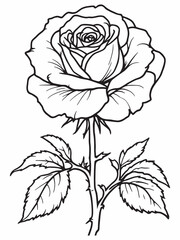 rose line art elegant sketch with delicate details.eps