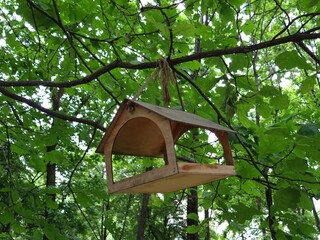 Wooden birdhouse hanging on oak branch. Oak branches with green leaves in spring in park 