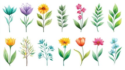 Watercolor Botanical Collection - Vibrant watercolor flowers and leaves, nature, spring, botanical illustration, floral design