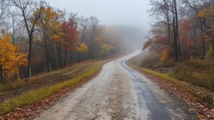 Obraz premium Ethereal road in the fog during autumn season with colorful foliage