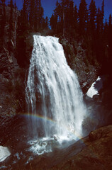 waterfall in rainier national park