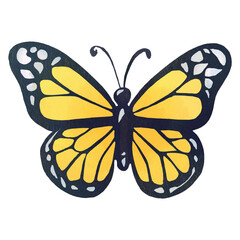 Butterfly Illustration