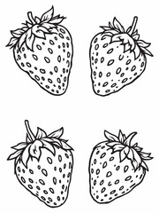 strawberries simple line art illustration style.eps © Rony