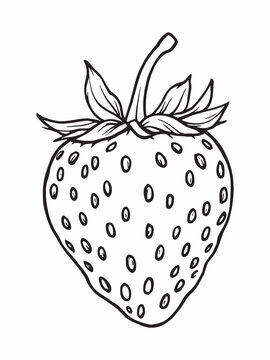 recommend clip art: Strawberry fruit line art elegant clean modern design.eps