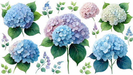 Watercolor hydrangea flower set with blue pink and white blossoms