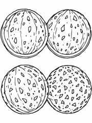 Tasty watermelon balls clean line art graphic design.eps